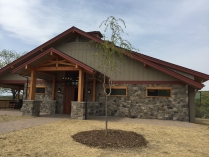 Outside of wood and stone building, a solitary baby tree has been planted