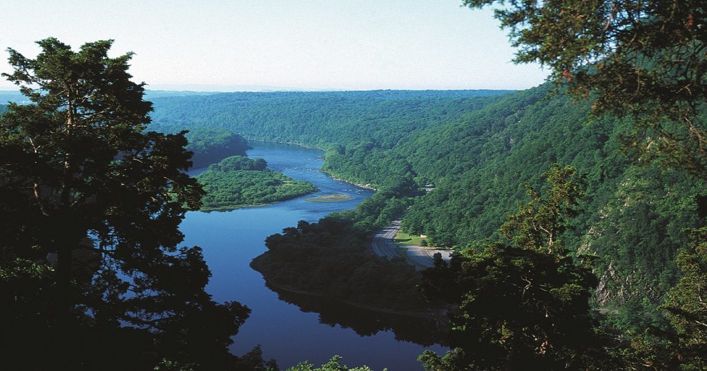 Aerial view of the Water Gap between trees