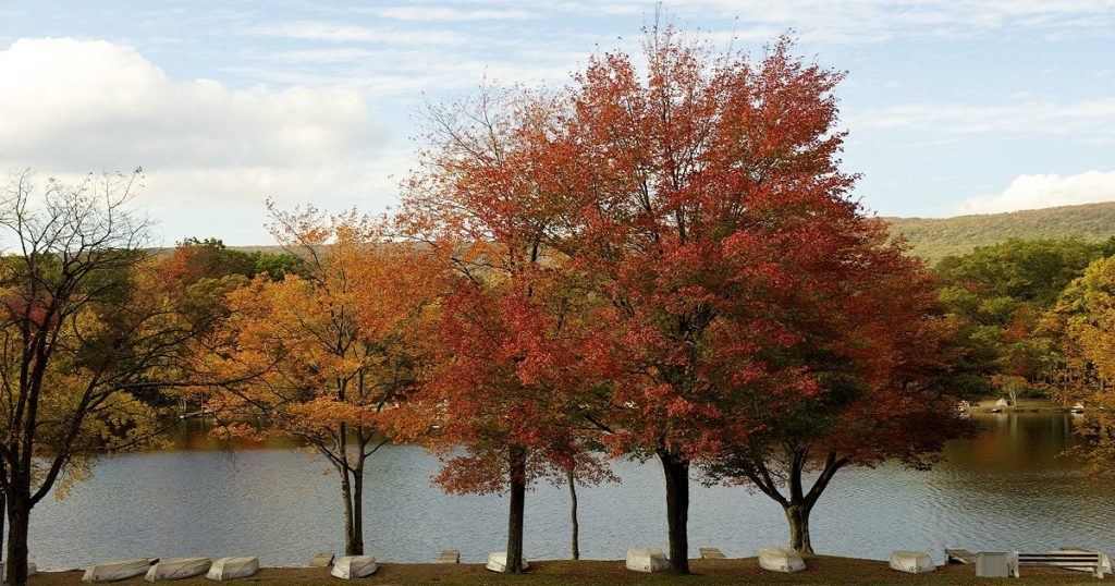 Autumn colored trees line the river with canoes and boats on the shore upside down